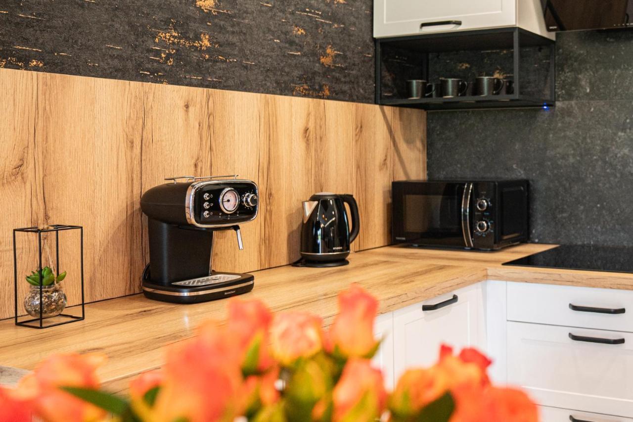 Apartament Duzy Staw Apartment เยเลเนียกูรา ภายนอก รูปภาพ