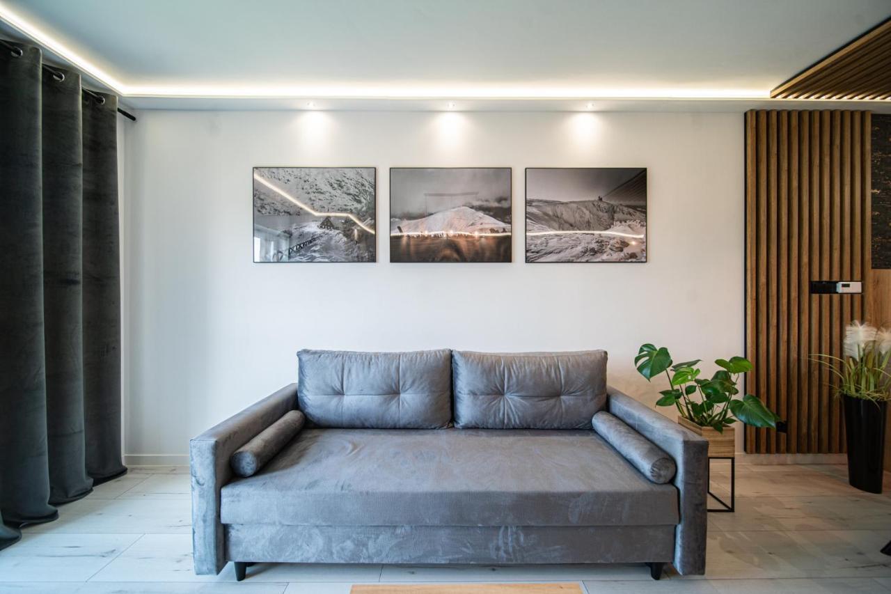 Apartament Duzy Staw Apartment เยเลเนียกูรา ภายนอก รูปภาพ